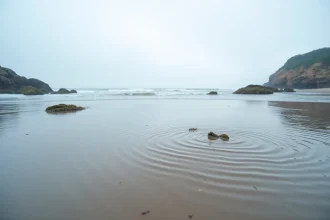 Grande marée à Saint-Hilaire-de-Riez : plage découverte à marée basse avec étendues de sable mouillé et rochers apparents